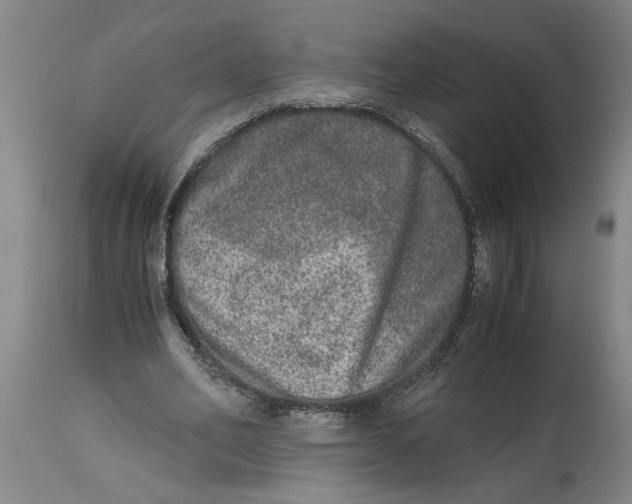 X0000114660582200911101345