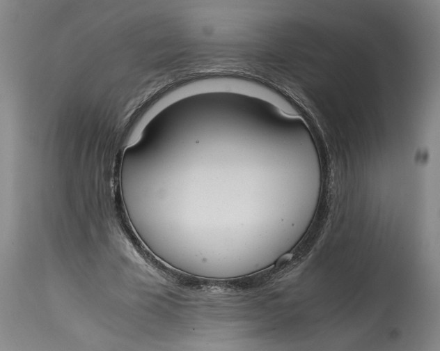 X0000114660585200911101345