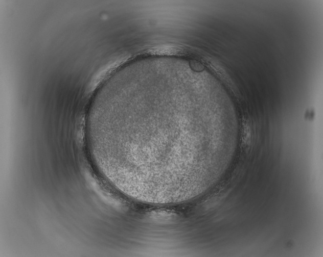 X0000114660586200911101345