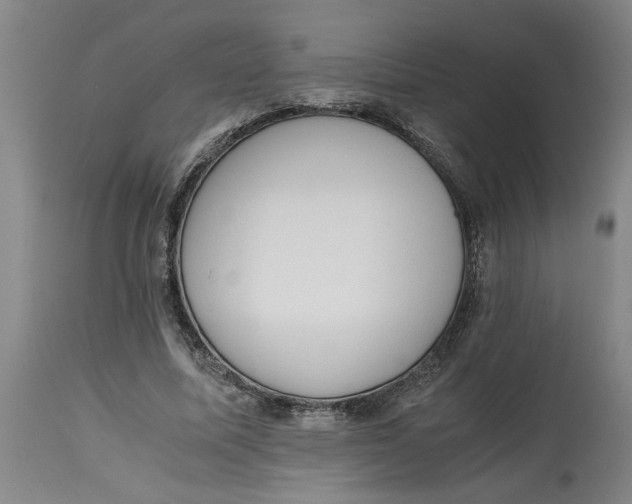 X0000114660587200911101345