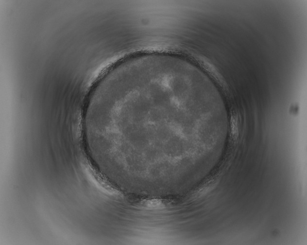 X0000114660588200911101345