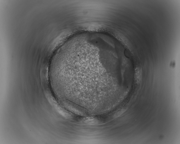 X0000114660589200911101345