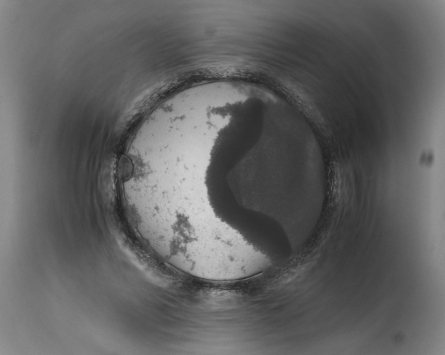 X0000114660590200911101345