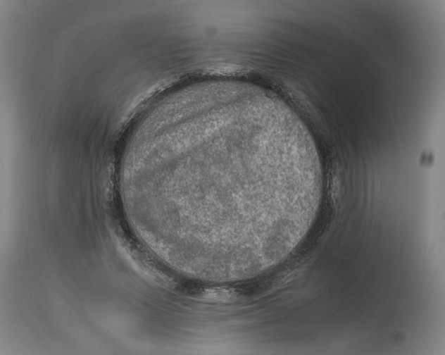 X0000114660591200911101345