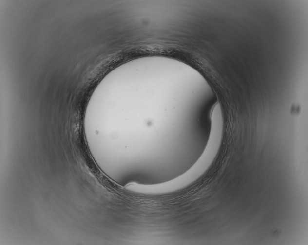 X0000114660593200911101345