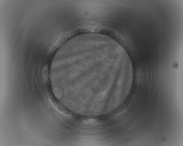 X0000114660594200911101345