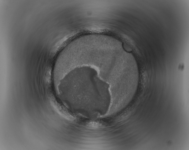 X0000114660596200911101345