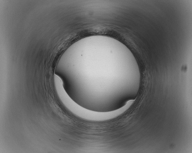 X0000114660597200911101345