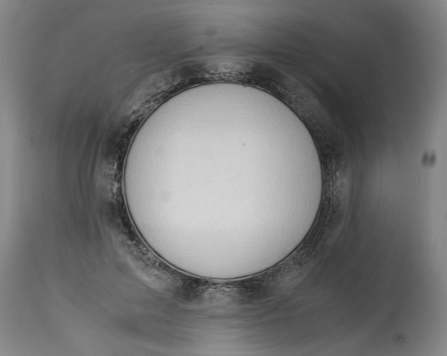 X0000114660599200911101345