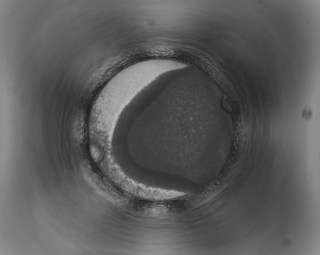 X0000114660600200911101345