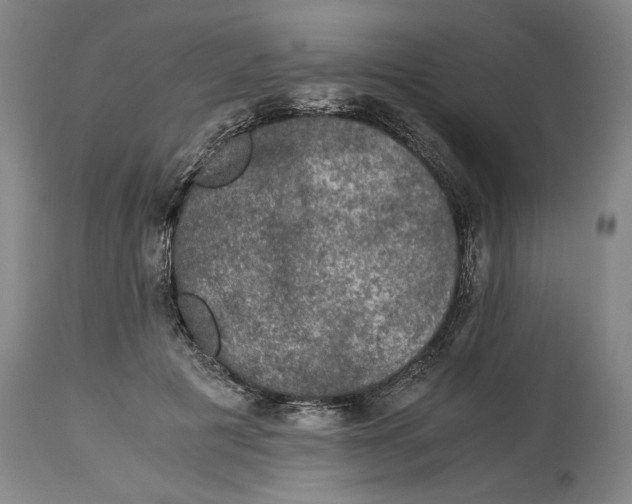 X0000114660601200911101345