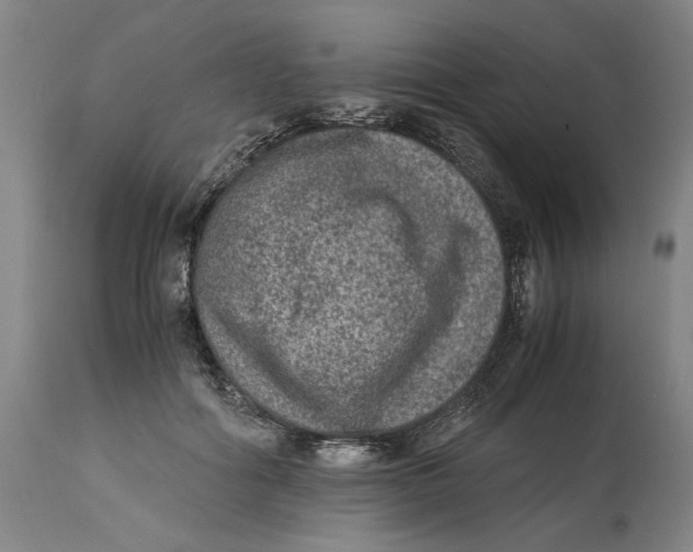 X0000114660602200911101345