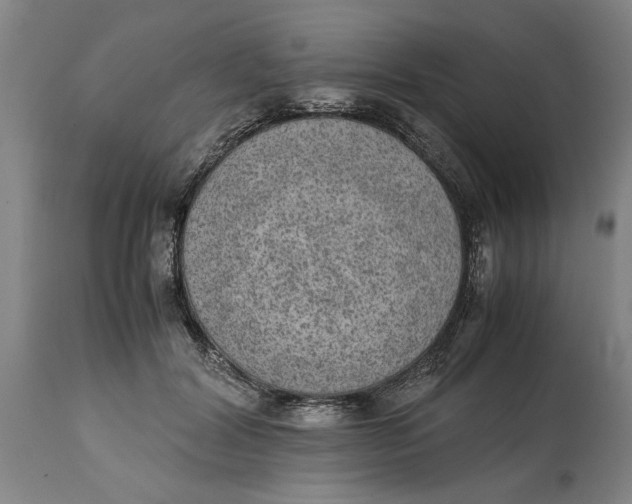 X0000114660604200911101345