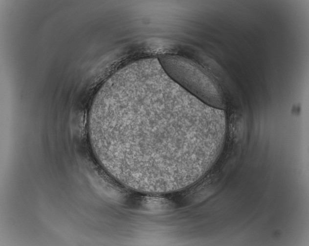 X0000114660605200911101345