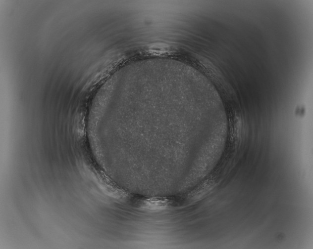 X0000114660606200911101345