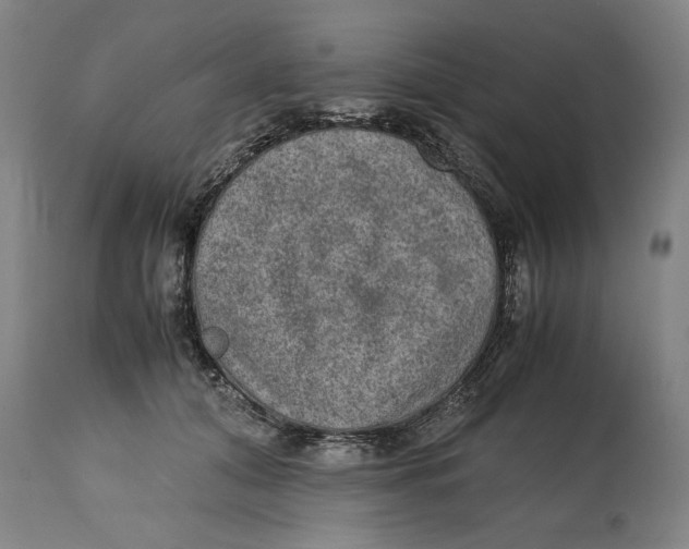 X0000114660608200911101344