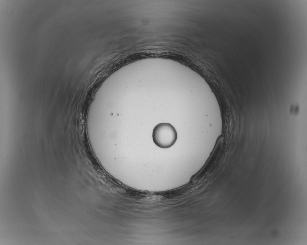 X0000114660609200911101344