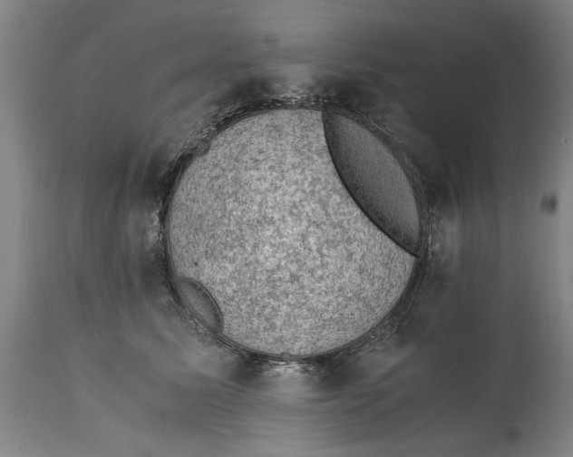 X0000114660611200911101344