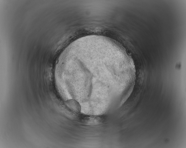 X0000114660612200911101344