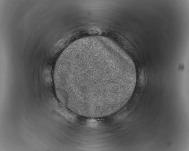 X0000114660616200911101344