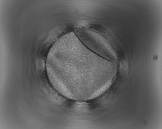 X0000114660617200911101344