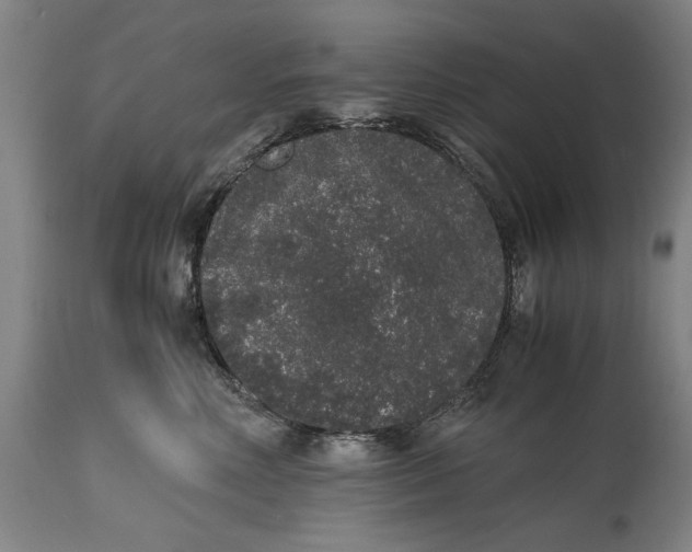 X0000114660618200911101344