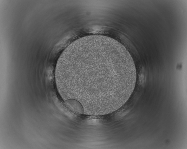 X0000114660620200911101344