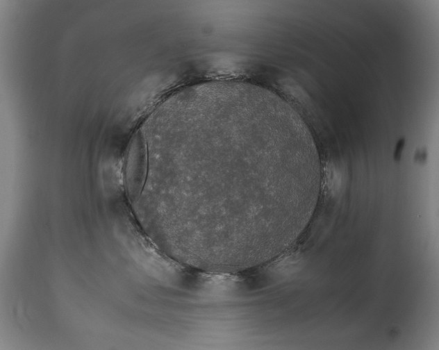 X0000114660621200911101344