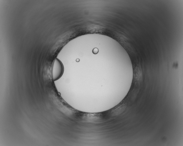 X0000114660622200911101344