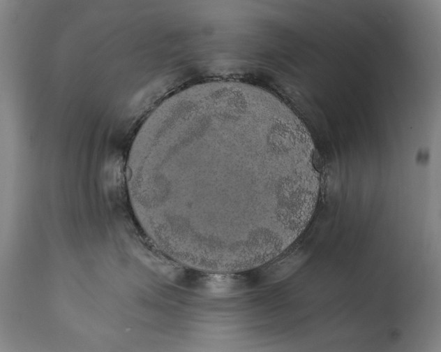 X0000114660623200911101344