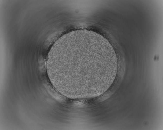 X0000114660624200911101344