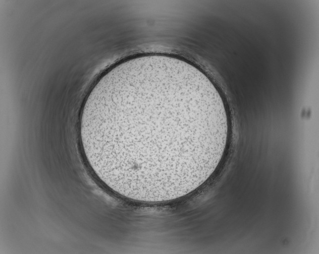 X0000114660625200911101343