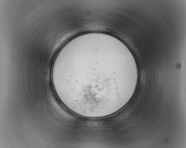 X0000114660629200911101344