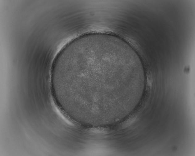 X0000114660630200911101344