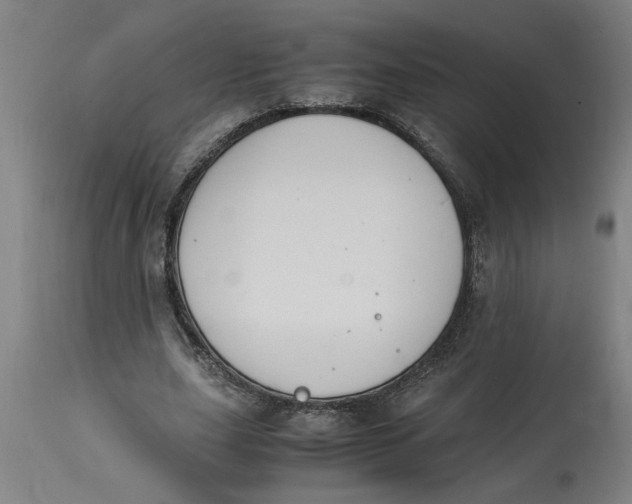 X0000114660631200911101344