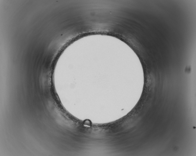 X0000114660632200911101344