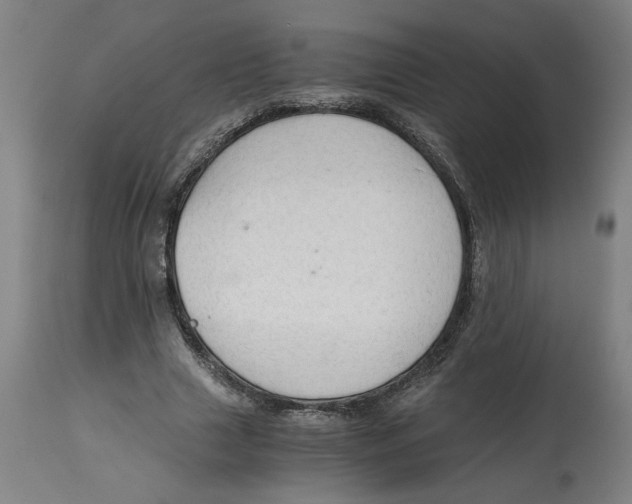 X0000114660633200911101344