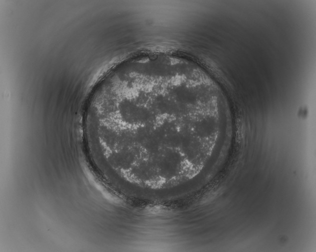 X0000114660634200911101344