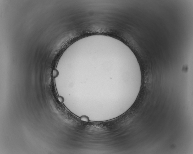 X0000114660635200911101344