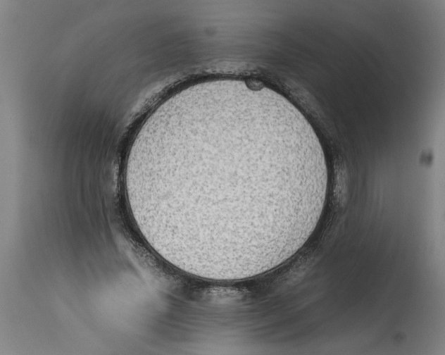 X0000114660636200911101344