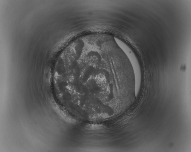 X0000114660637200911101344