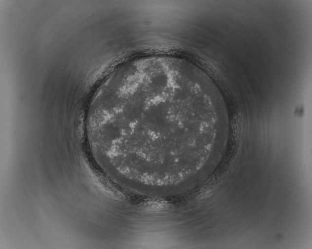 X0000114660642200911101344