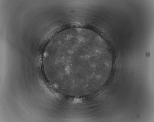 X0000114660647200911101344