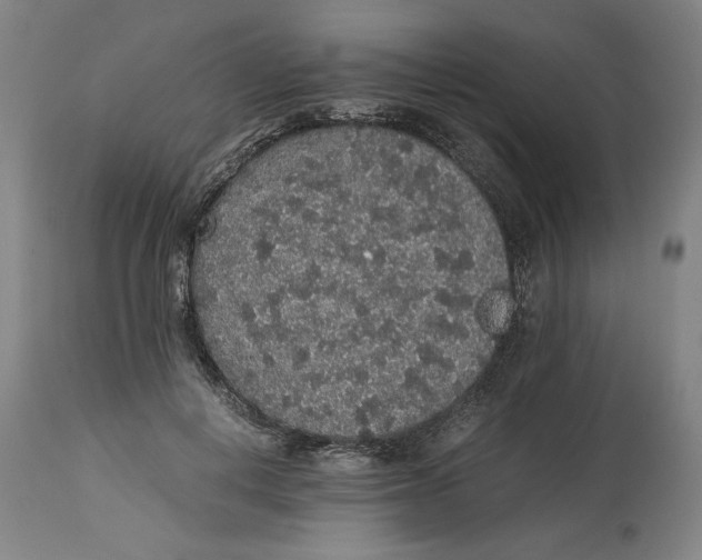 X0000114660648200911101344