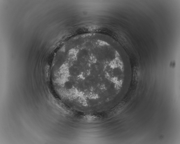 X0000114660650200911101344