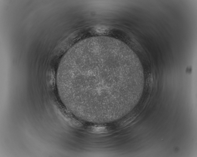 X0000114660651200911101344