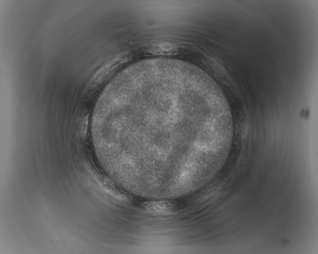 X0000114660652200911101344