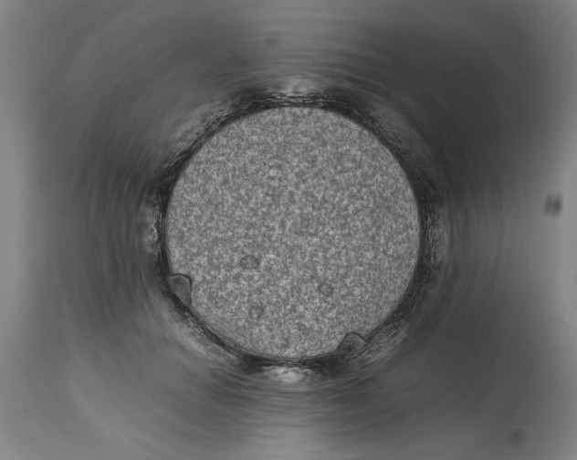 X0000114660654200911101344