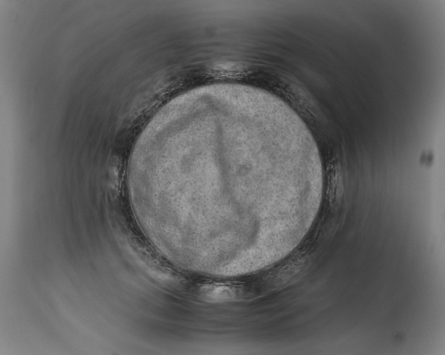 X0000114660655200911101344