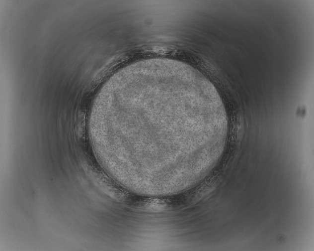 X0000114660656200911101344